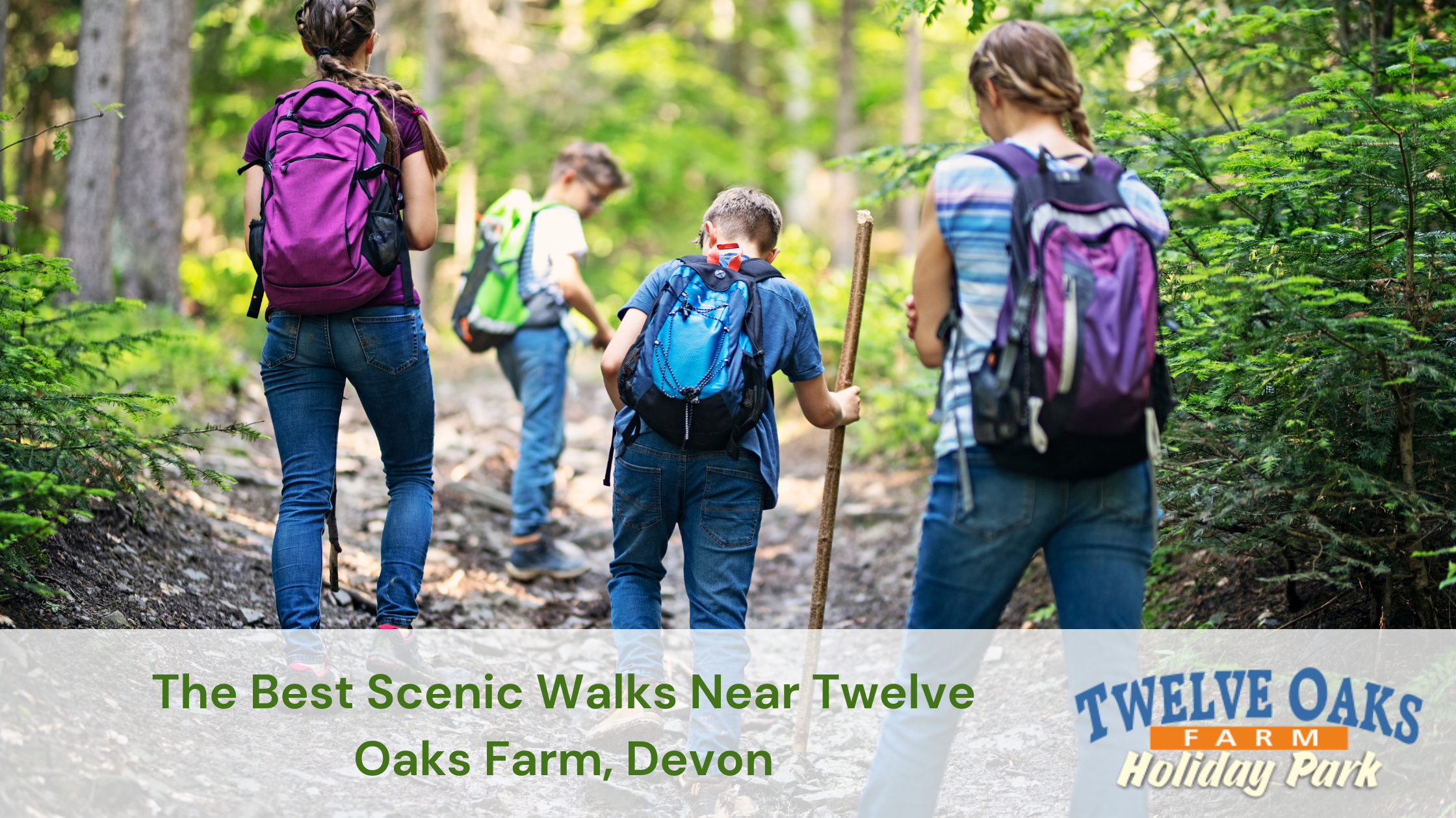 Top 10 Walks Devon